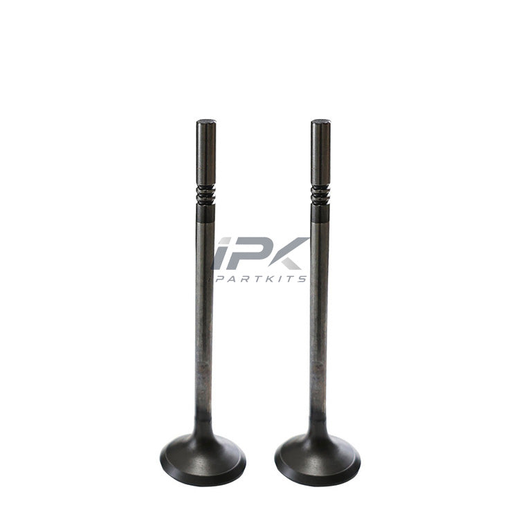 Exhaust Valve for Roewe 15S4C Engine, OEM 10203583 - ipartkits