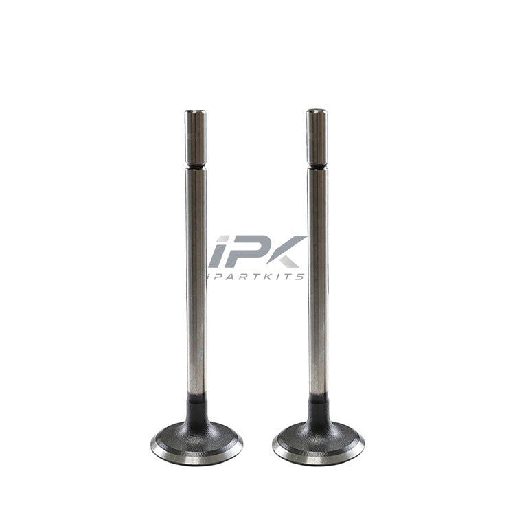 Intake Valve for Roewe 15S4U Engine, OEM 10020743 - ipartkits