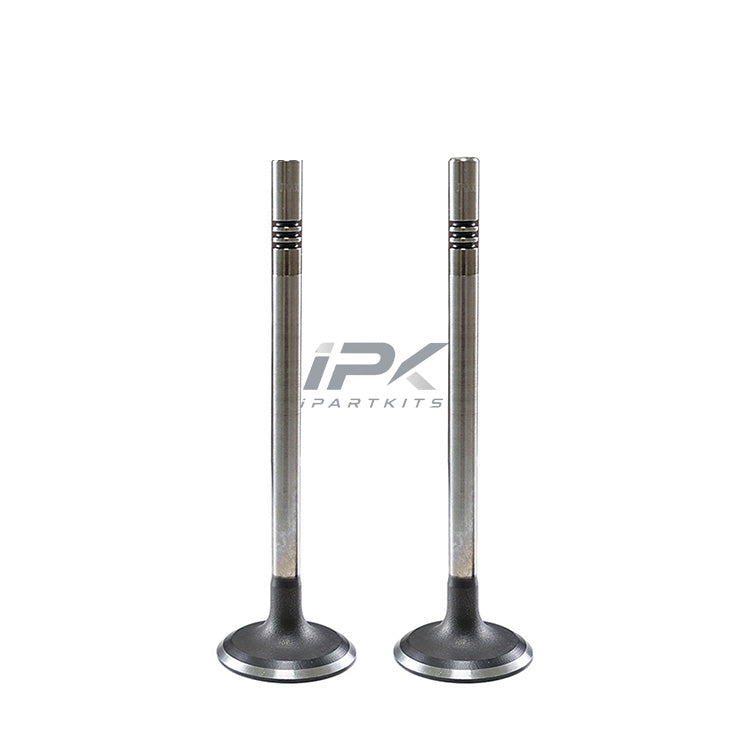 Intake Valve for Roewe 15S4U Engine, OEM 10284644 - ipartkits