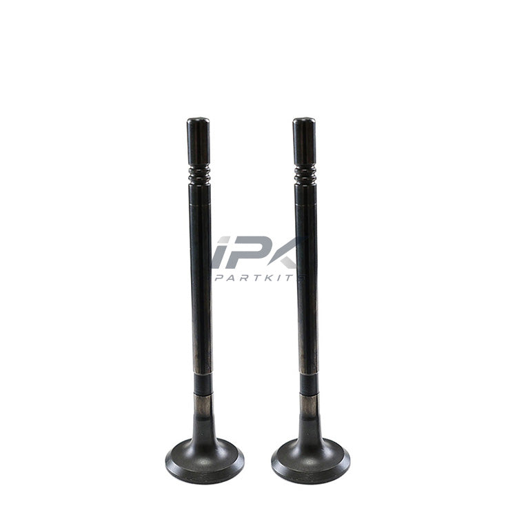 Exhaust Valve for Roewe 15S4U Engine, OEM 10284645 - ipartkits