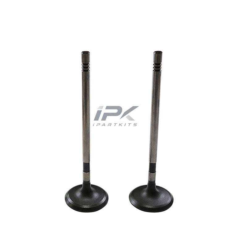 Intake Valve for Roewe / MG 20L4E Engine, OEM 10227708 - ipartkits