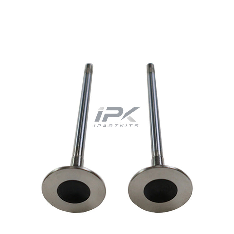 Exhaust Valve for Roewe / MG 20L4E Engine, OEM 10227711 - ipartkits