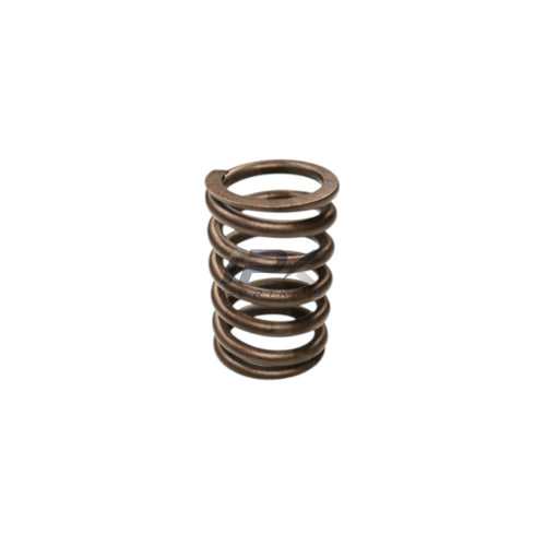 Valve Spring for Caterpillar