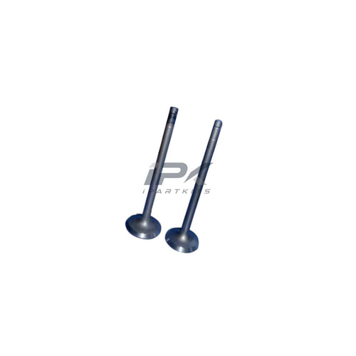 Valve for Isuzu