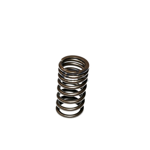 Valve Spring for Komatsu