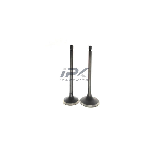 Valve for Isuzu
