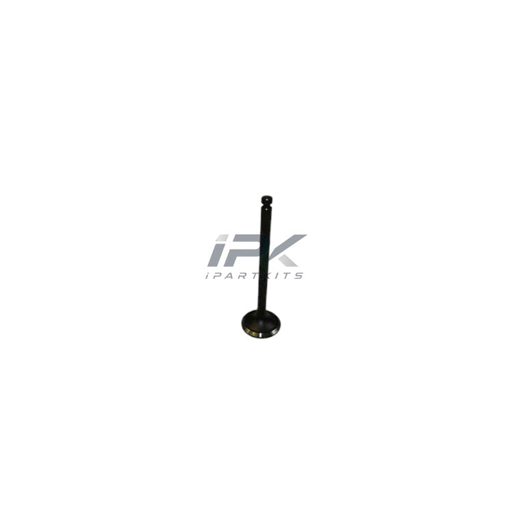 4TNE94 Valve OEM 129900-11100 129900-11110 Diesel Engine Replacement Spare Parts for Yanmar