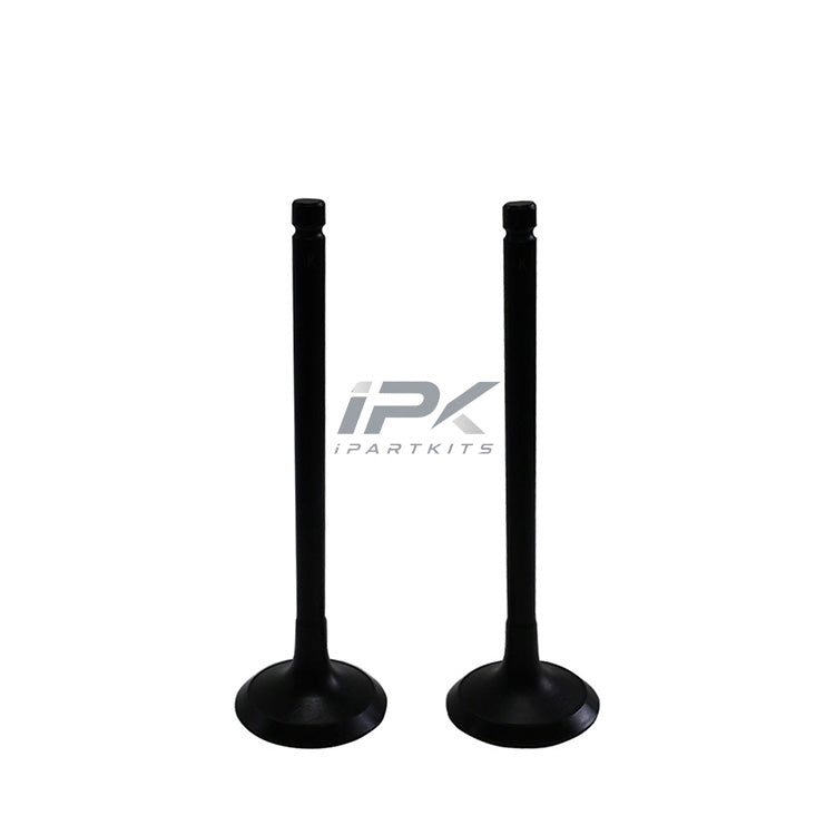 for Land Rover&Jaguar 5.0 Exhaust Valve OEM LR010698 LR035551 LR055528 LR082739 AJ811440 C2Z22075 C2Z29903 AJ813765 for 508PS 508PN