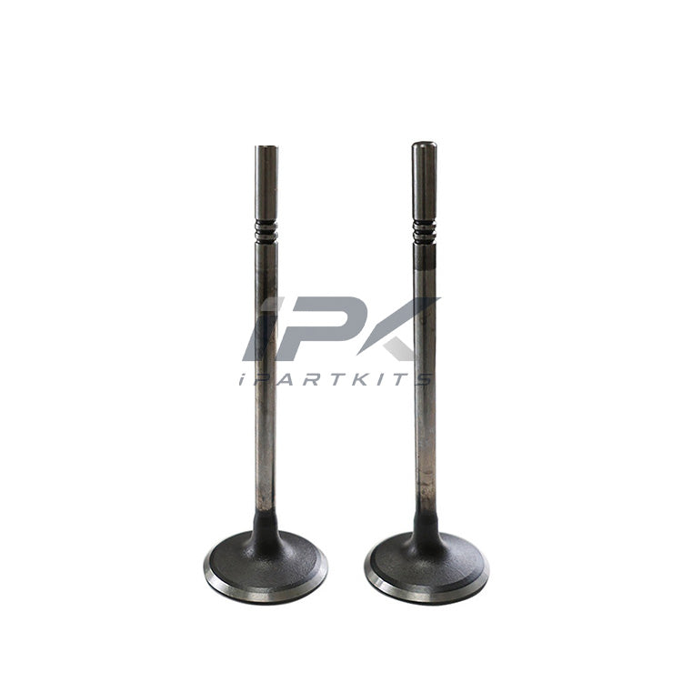 Intake Valve for Roewe 15S4C Engine, OEM 10203582 - ipartkits