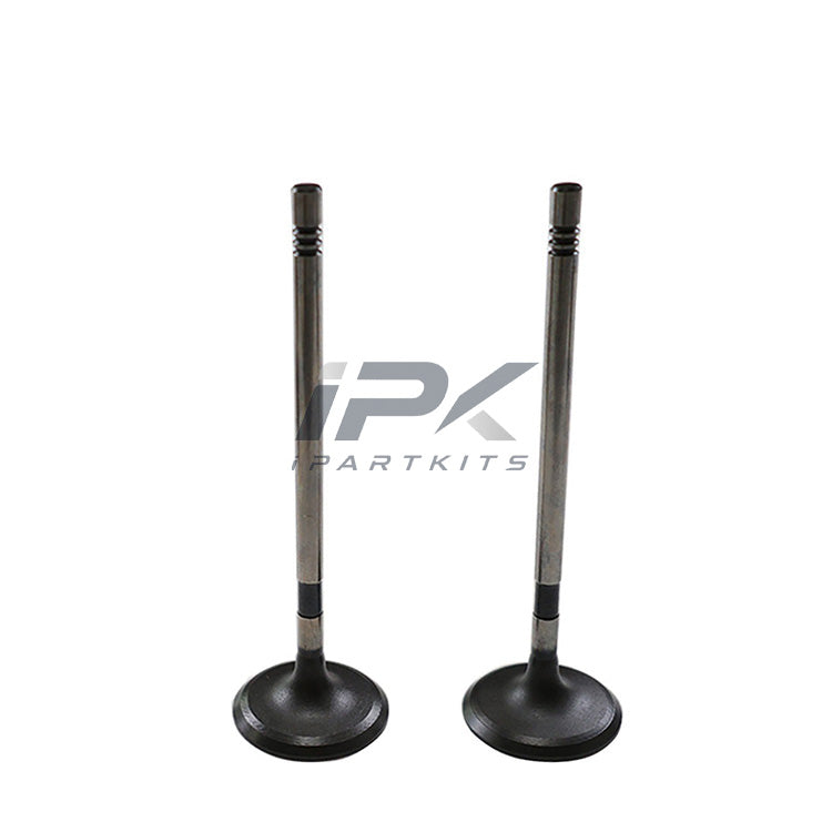 Intake Valve for Roewe / MG 20L4E Engine, OEM 10227708 - ipartkits