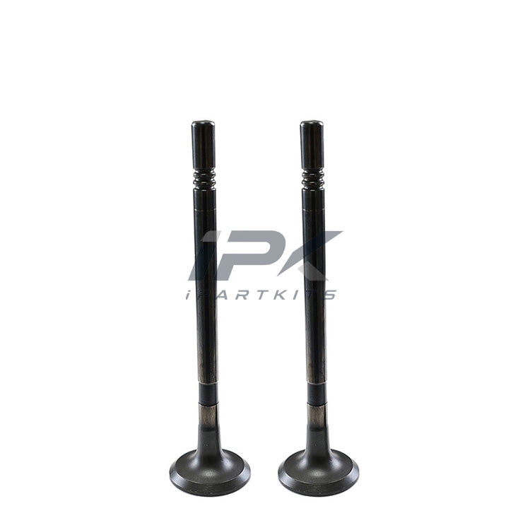 Exhaust Valve for Roewe 15S4U Engine, OEM 10284645 - ipartkits