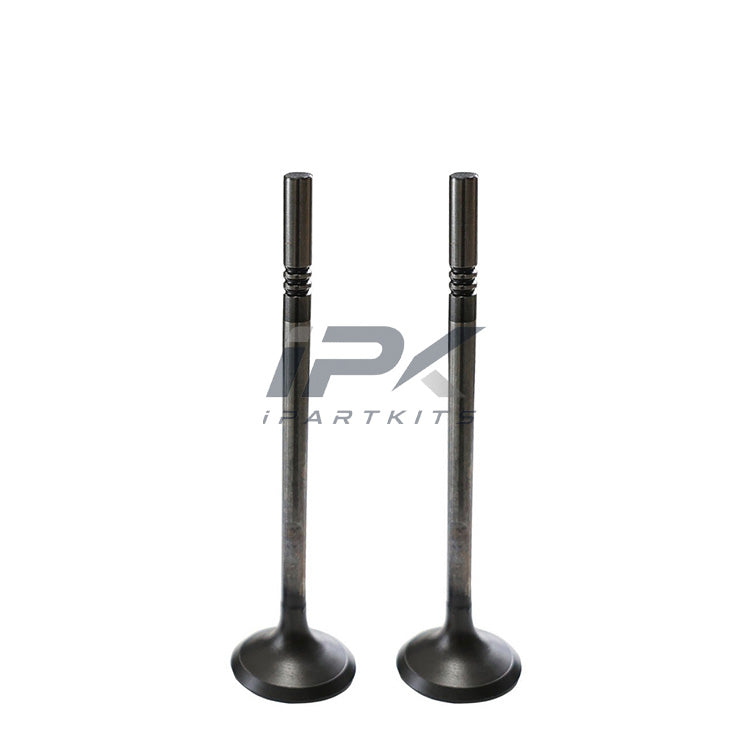 Exhaust Valve for Roewe 15S4C Engine, OEM 10203583 - ipartkits
