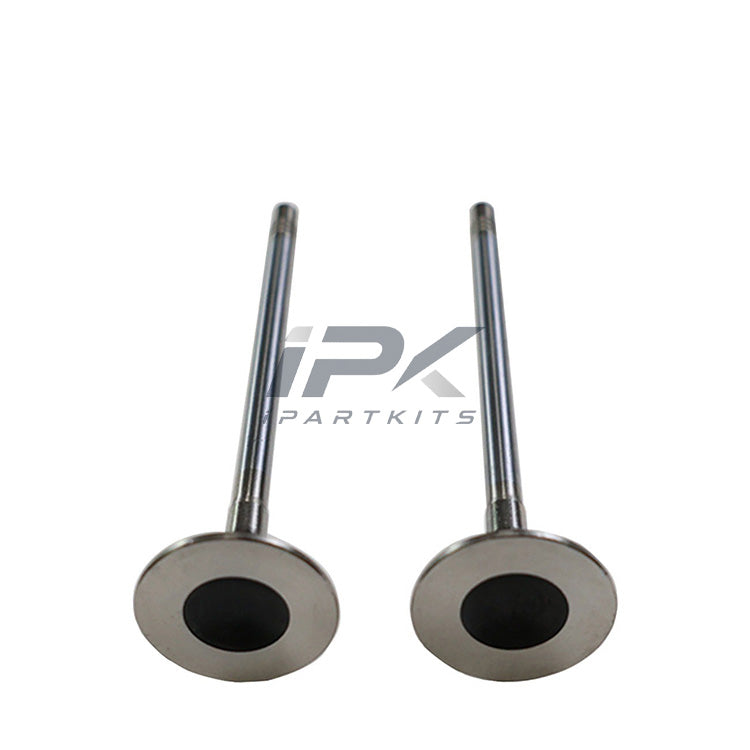 Exhaust Valve for Roewe / MG 20L4E Engine, OEM 10227711 - ipartkits