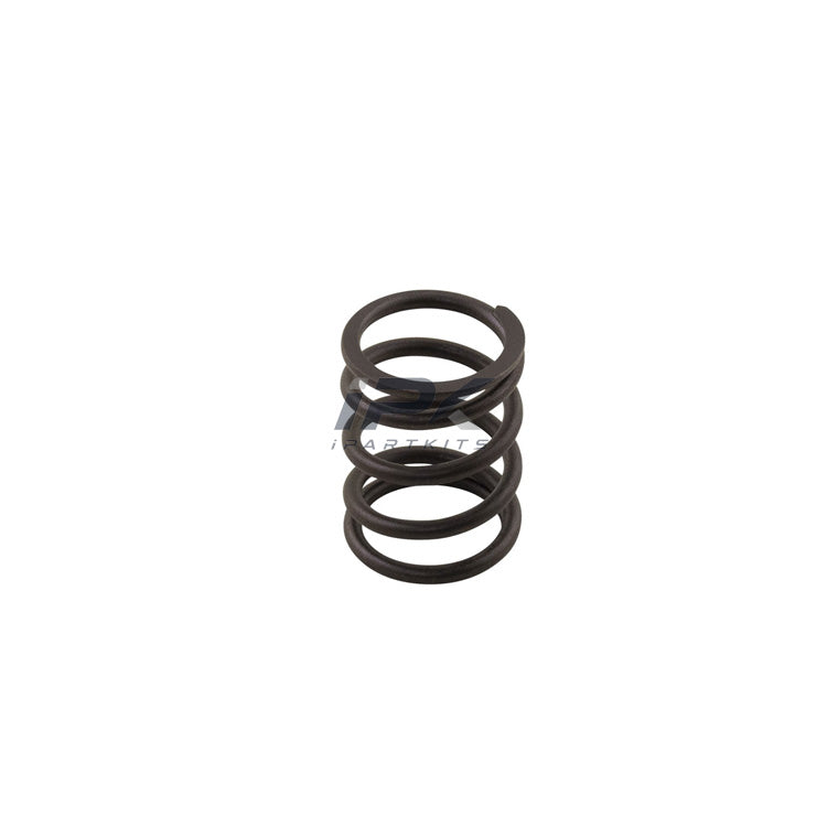 Valve Spring for Kubota