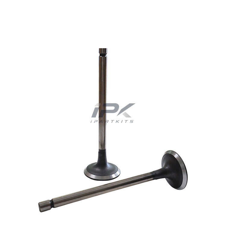 for Haval&for Great Wall H5,H6,Wingle5,6,7 2.0T Engine Diesel Intake Valve. OEM:1007011-ED01.For Engine:GW4D20/GW4D20B/GW4D20C/GW4D20D