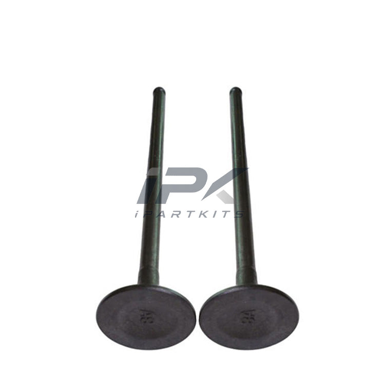 Exhaust Valve for Honda EK3/D15Z5/D15Z4 Engine, OEM 14721-P08-000 - ipartkits