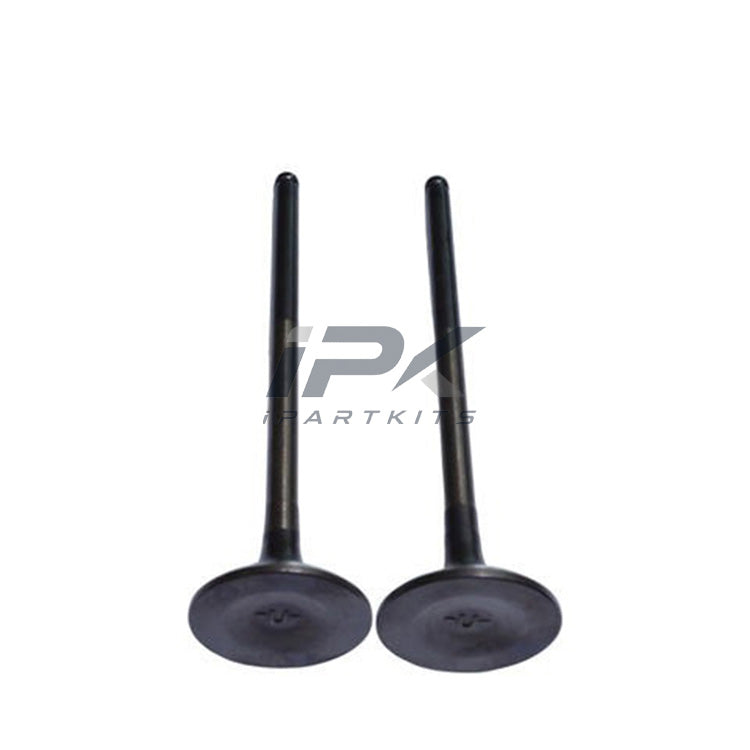 Exhaust Valve for Honda TG2/TG3/TG5/TG6/K20C3/K20C7 Engine, OEM 06147-RPY-G00 - ipartkits