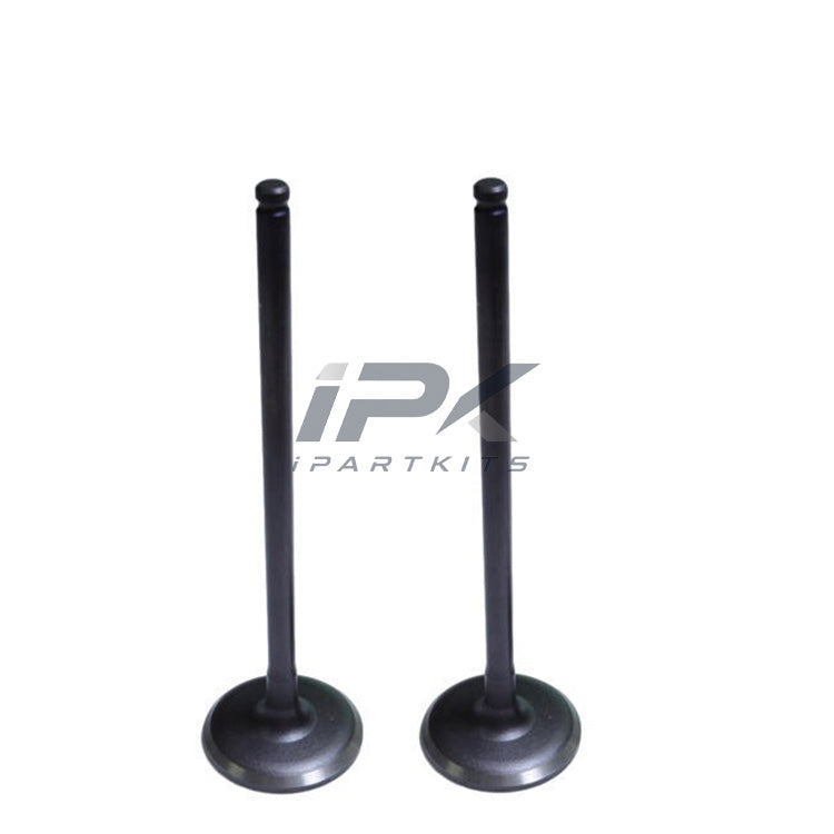 Intake Valve for Acura / Honda CP1/CR1/R20Z4/R20A3/R20A5 Engine, OEM 14711-R60-U00 - ipartkits