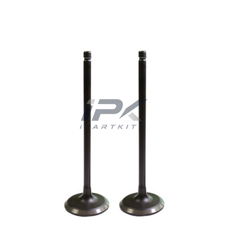 Intake Valve for Acura / Honda CP3/TF1/YD2/J30A5/J35Z2/J37A1 and more Engine, OEM 14711-RYE-A00 - ipartkits