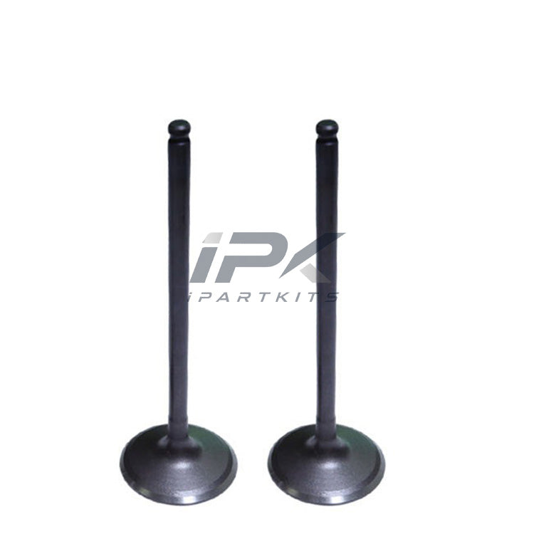 Intake Valve for Honda CP2/RM3/K24Y6 Engine, OEM 14711-R40-A00 - ipartkits