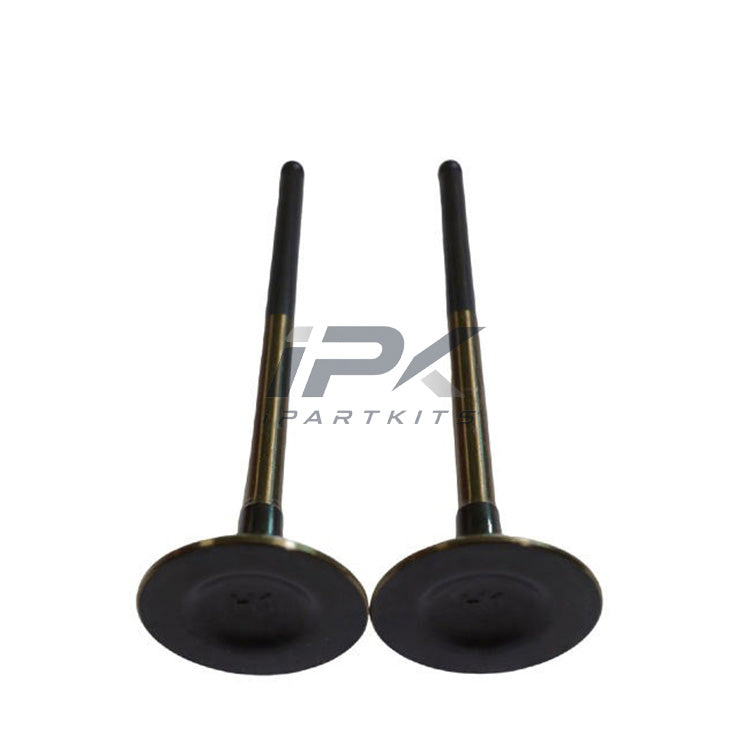 Exhaust Valve for Honda CP2/RM3/K24Y6 Engine, OEM 14721-R40-A00 - ipartkits