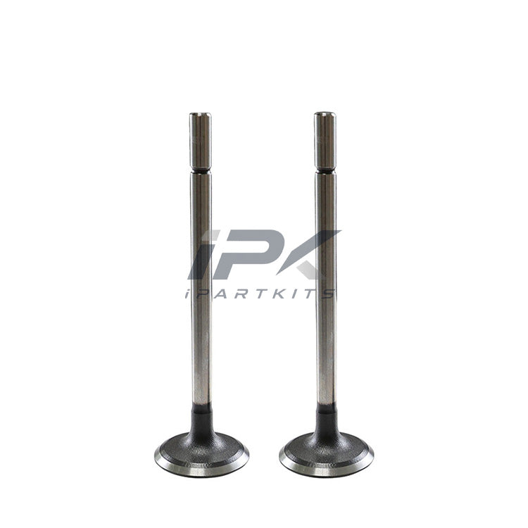 Intake Valve for Roewe 15S4U Engine, OEM 10020743 - ipartkits