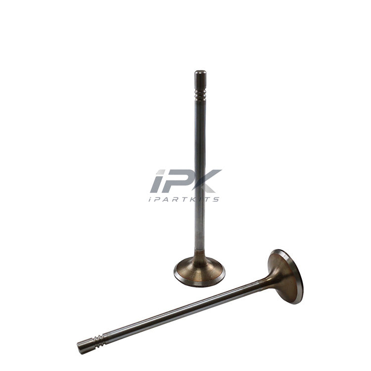 for Geely Emgrand/New Vision/X6/Emgrand GL/GS 1.3T Engine Intake Valve.OEM: 1016051160.For Engine Code:JLB-4G13T/JLB-4G13TB