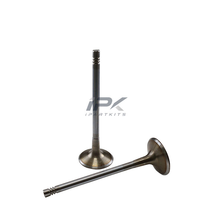 for Geely Boyue,Borui, Jiaji,Haoyue 1.8T Engine Intake Valve.OEM: 1030002600.For Engine Code:JLE-4G18TD/JLE-4G18TDB/JLE-4G18TDC