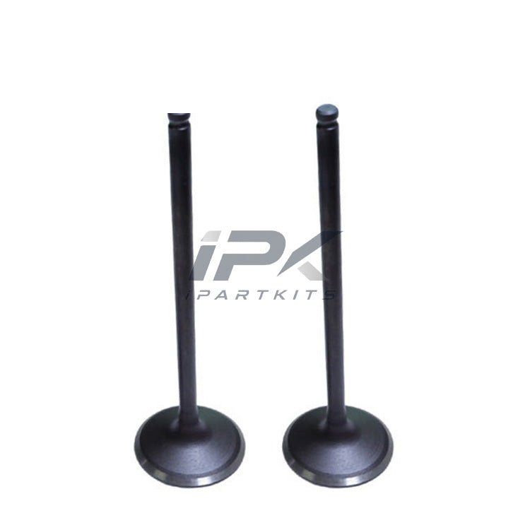 Intake Valve for Honda CR2/RC3/K24V6/K24V4 Engine, OEM 14711-5A4-H00 - ipartkits