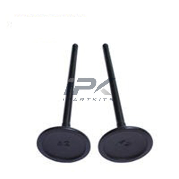 Intake Valve for Honda FB2/FB3/RM2/R18Z2 Engine, OEM 14711-R1G-H00 - ipartkits