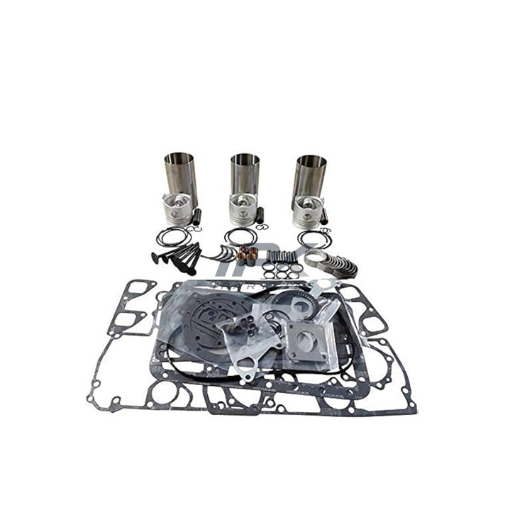 Overhaul Parts for Thermo King